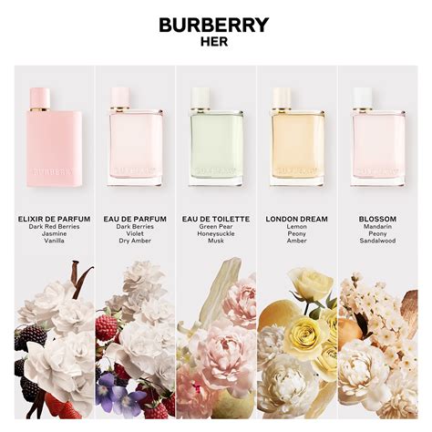 burberry her notes perfume|burberry classic eau de parfum perfume for women 3.3 oz.